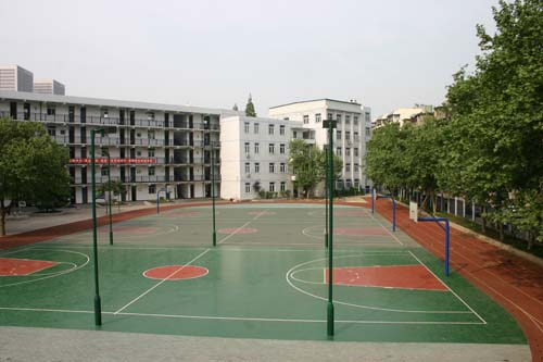 皇家国际