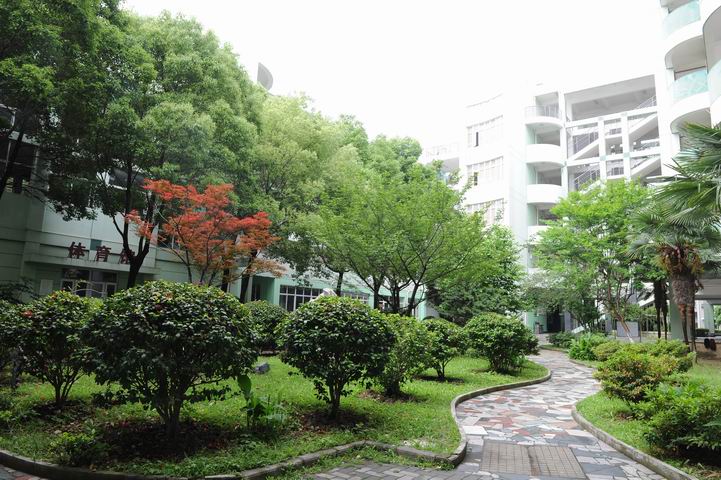皇家国际