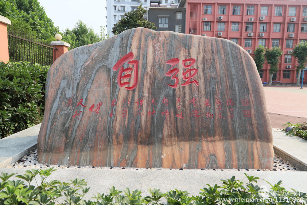 皇家国际