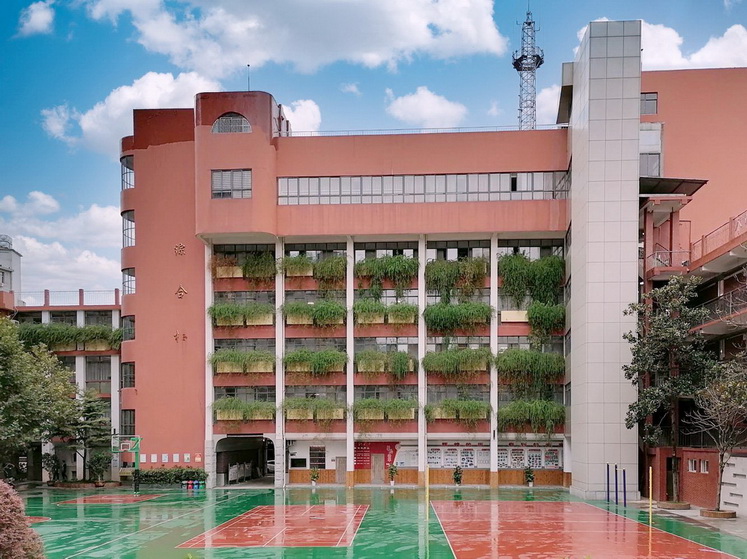 皇家国际
