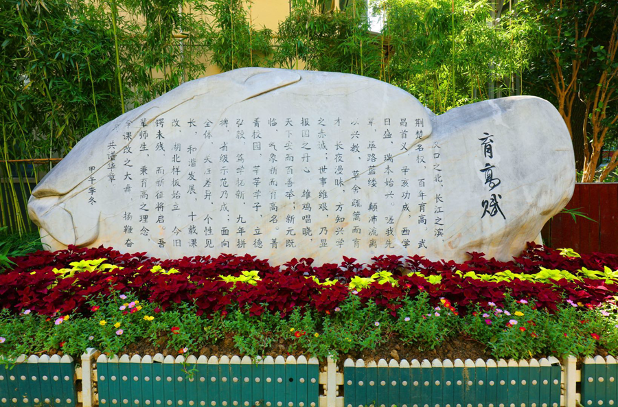 皇家国际
