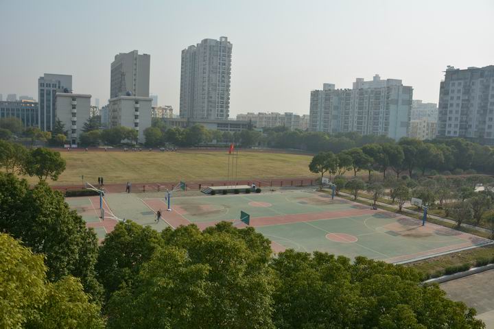 皇家国际