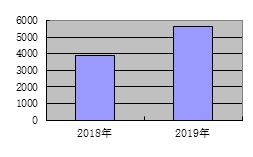 皇家国际