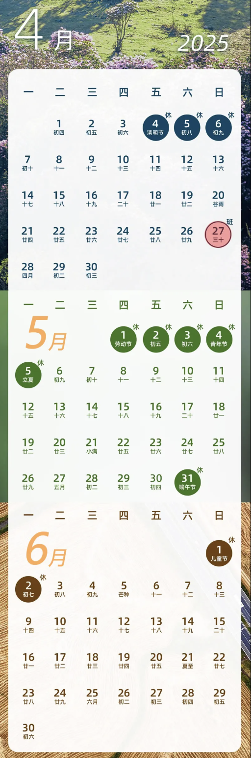 皇家国际