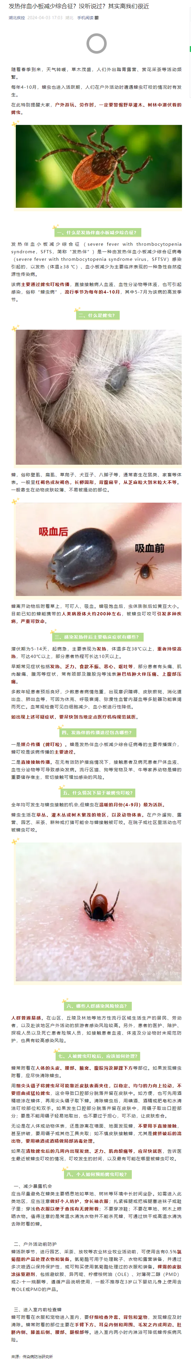 皇家国际