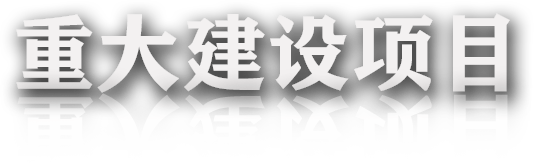 皇家国际